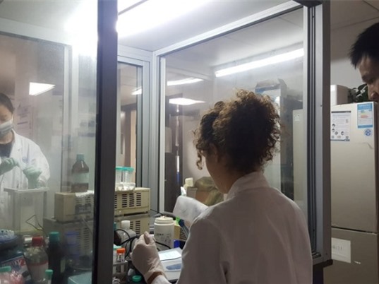 Những động lực đang định hình lại giáo dục đại học toàn cầu